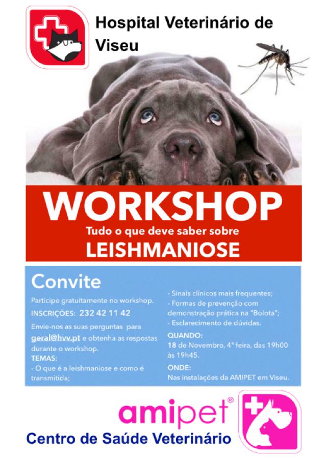 Leishmaniose Workshop