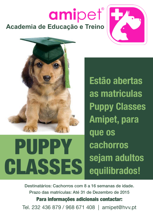 Puppy Classes Amipet
